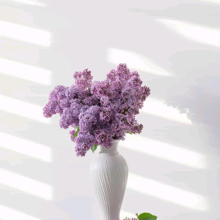 开心每一天❤️