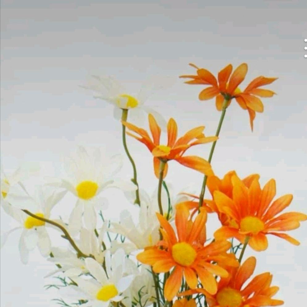 泥