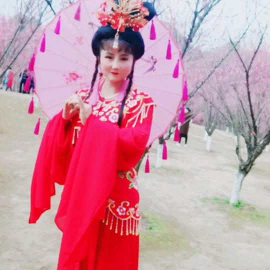 黄梅戏心语
