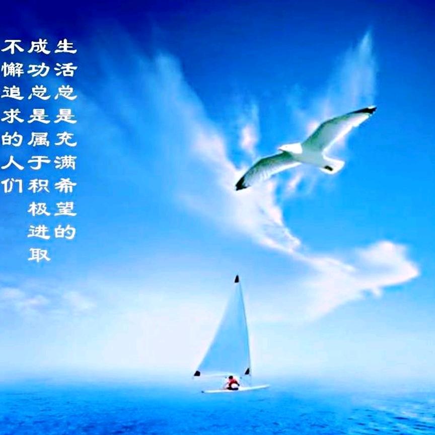 一家之煮