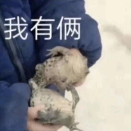 大熊猫和老左