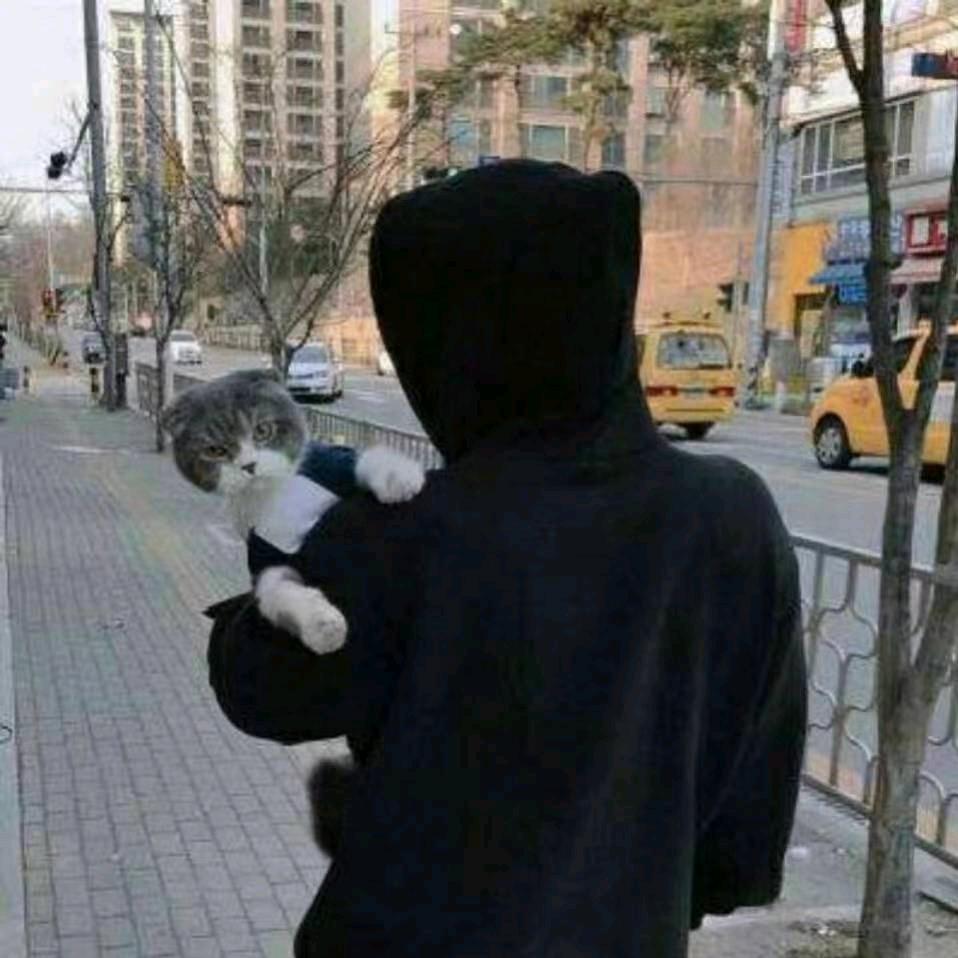 封狂