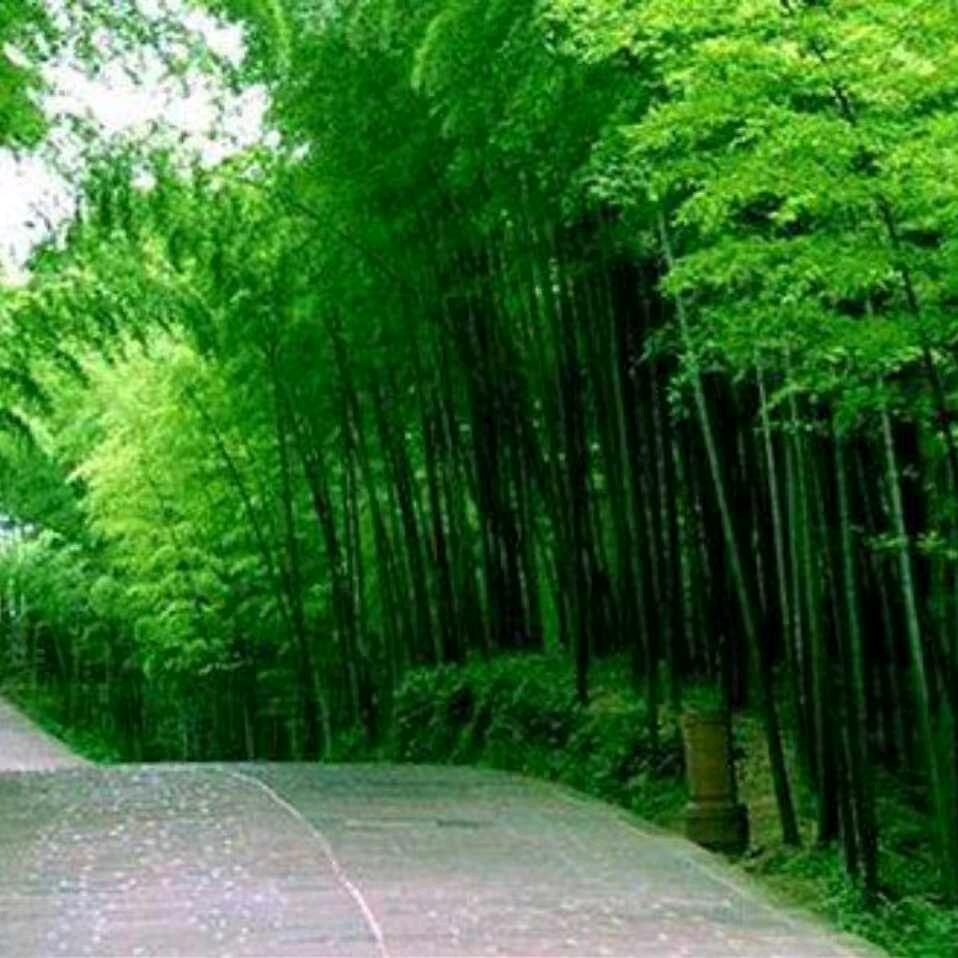 游手好闲（湖南衡阳）