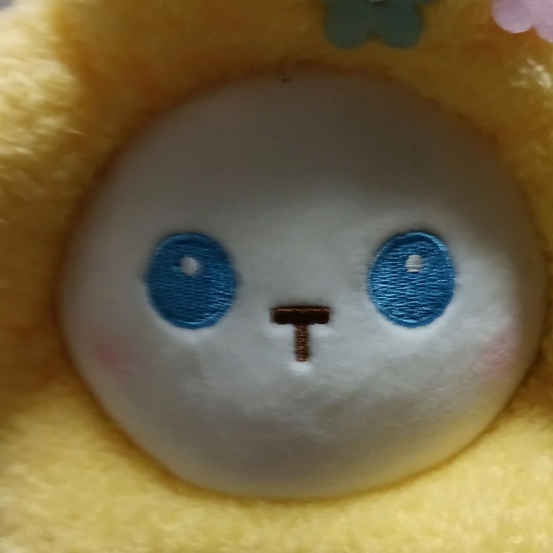 啊啊