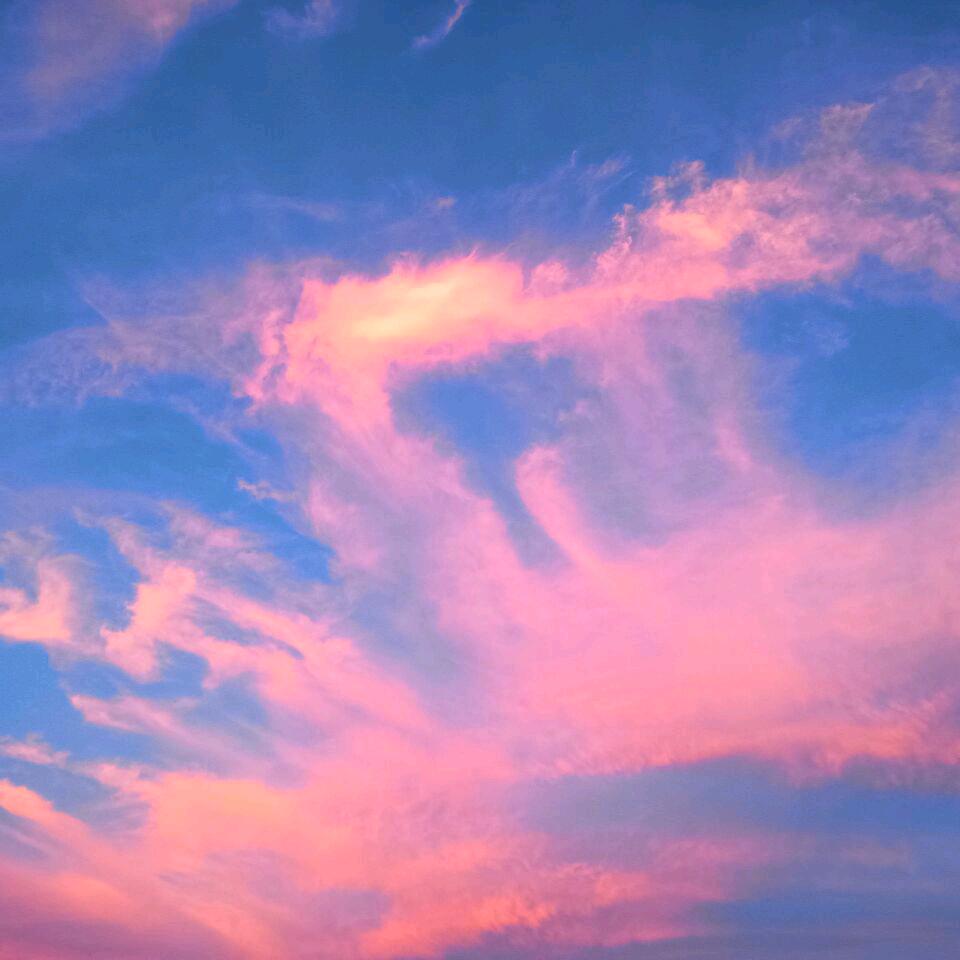 我就是我啊