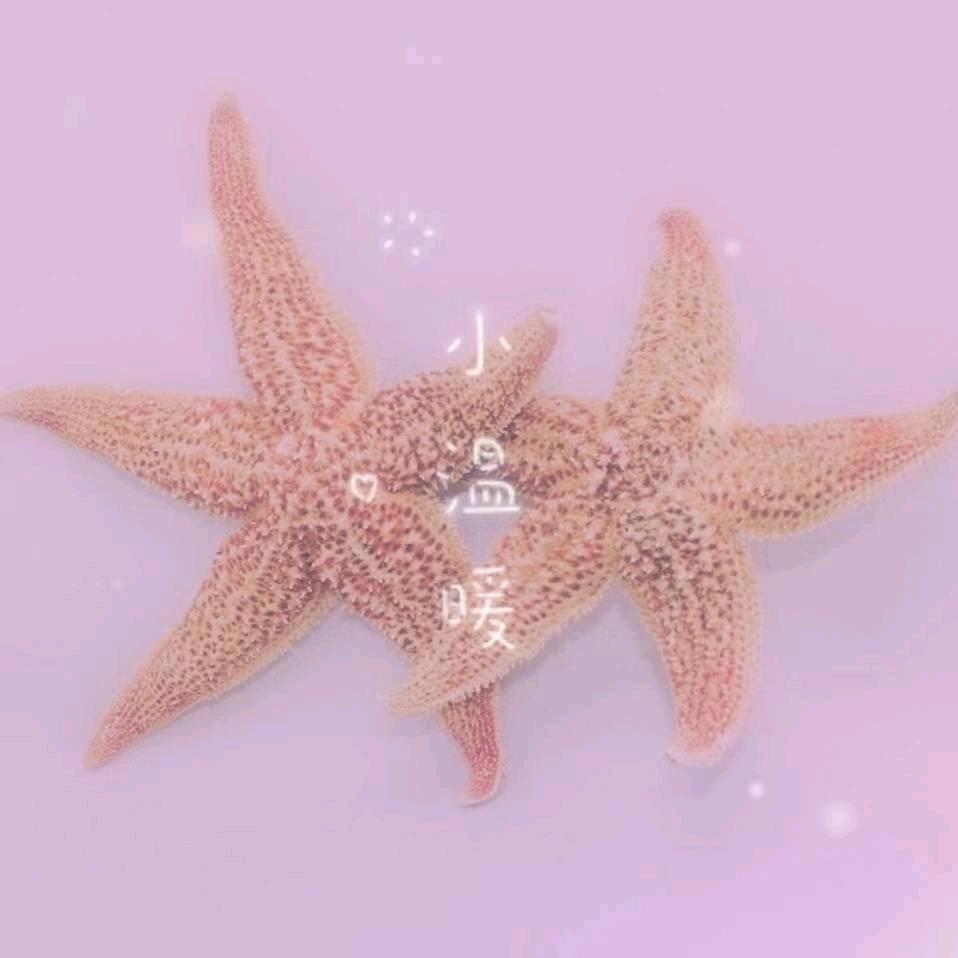 漂流瓶