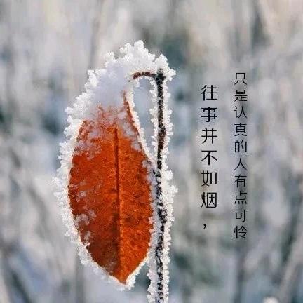 在我心里无人替代