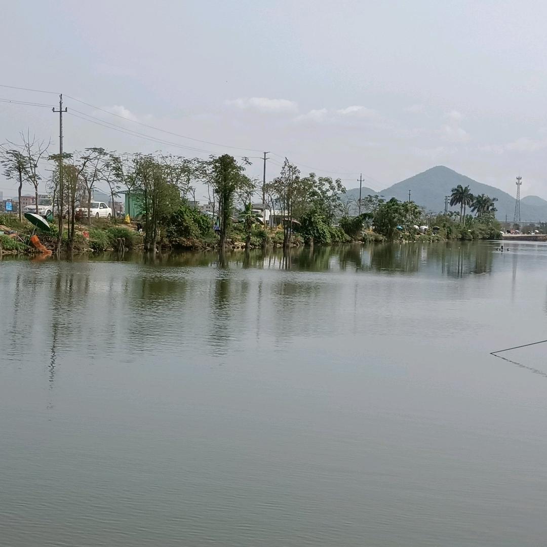 大榕树休闲垂钓场