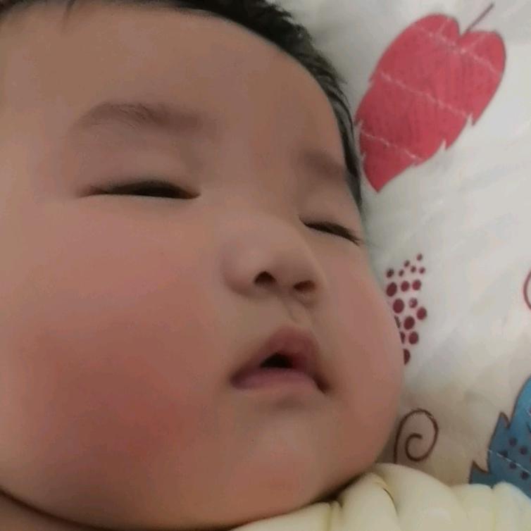 杨飞