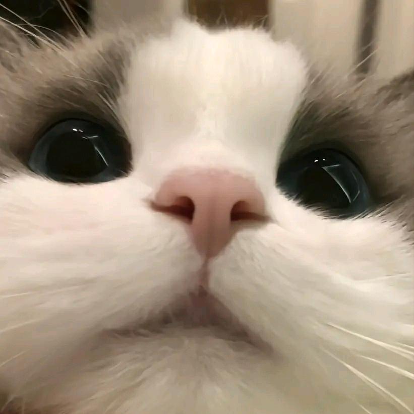 城