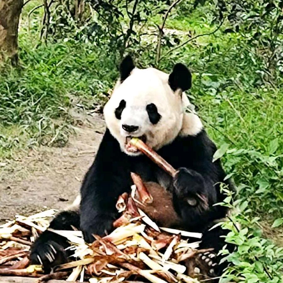 啵啵🐻鱼🐟