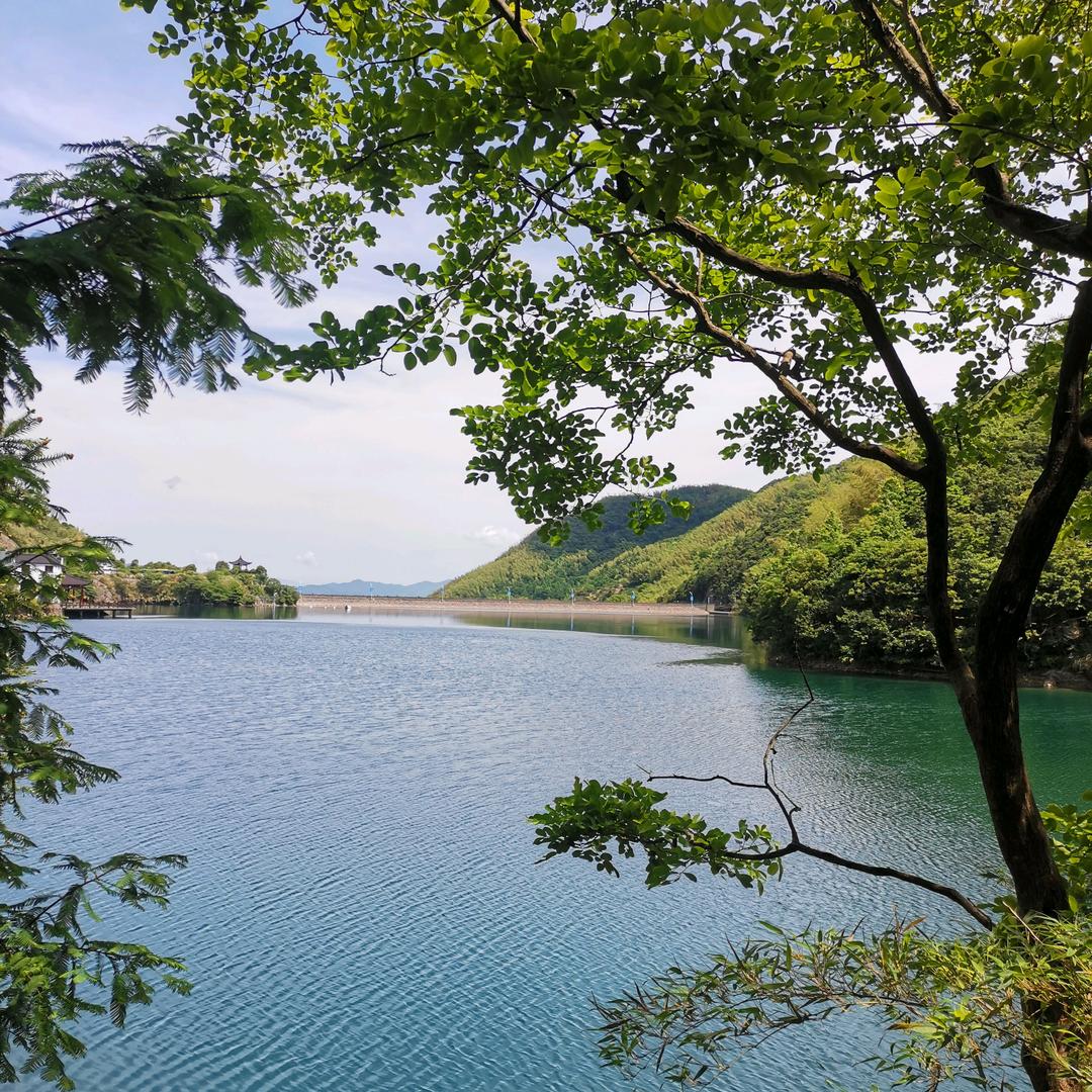 夏日布丁