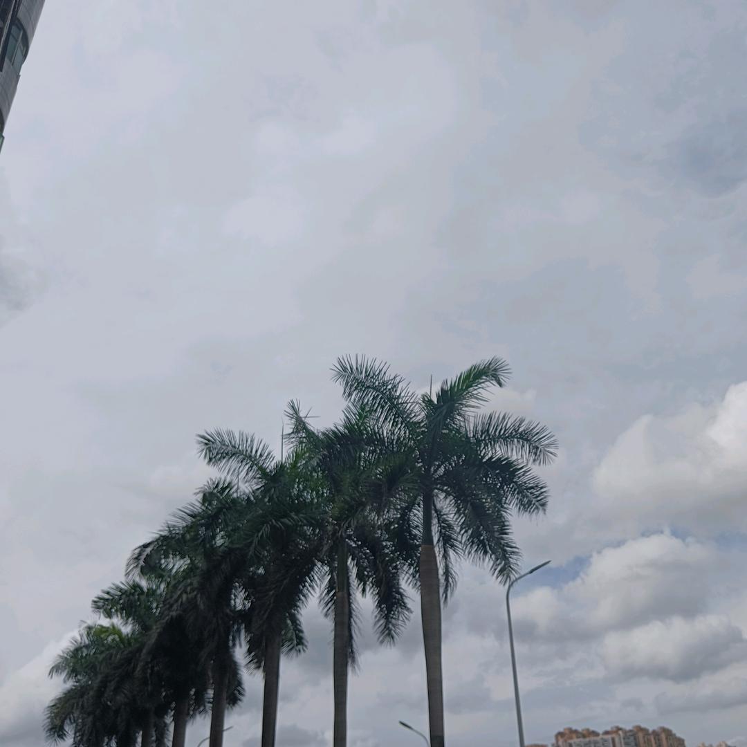 嗨春夏秋冬