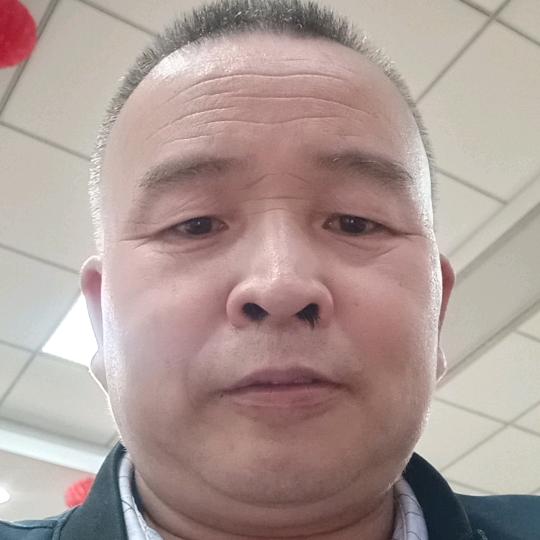 金虎