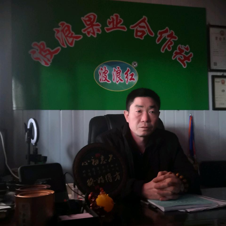 波浪红《波哥》