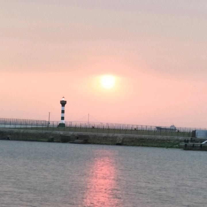 水母？？蓝环章鱼。