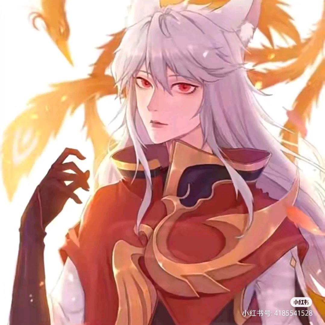 王者猫君
