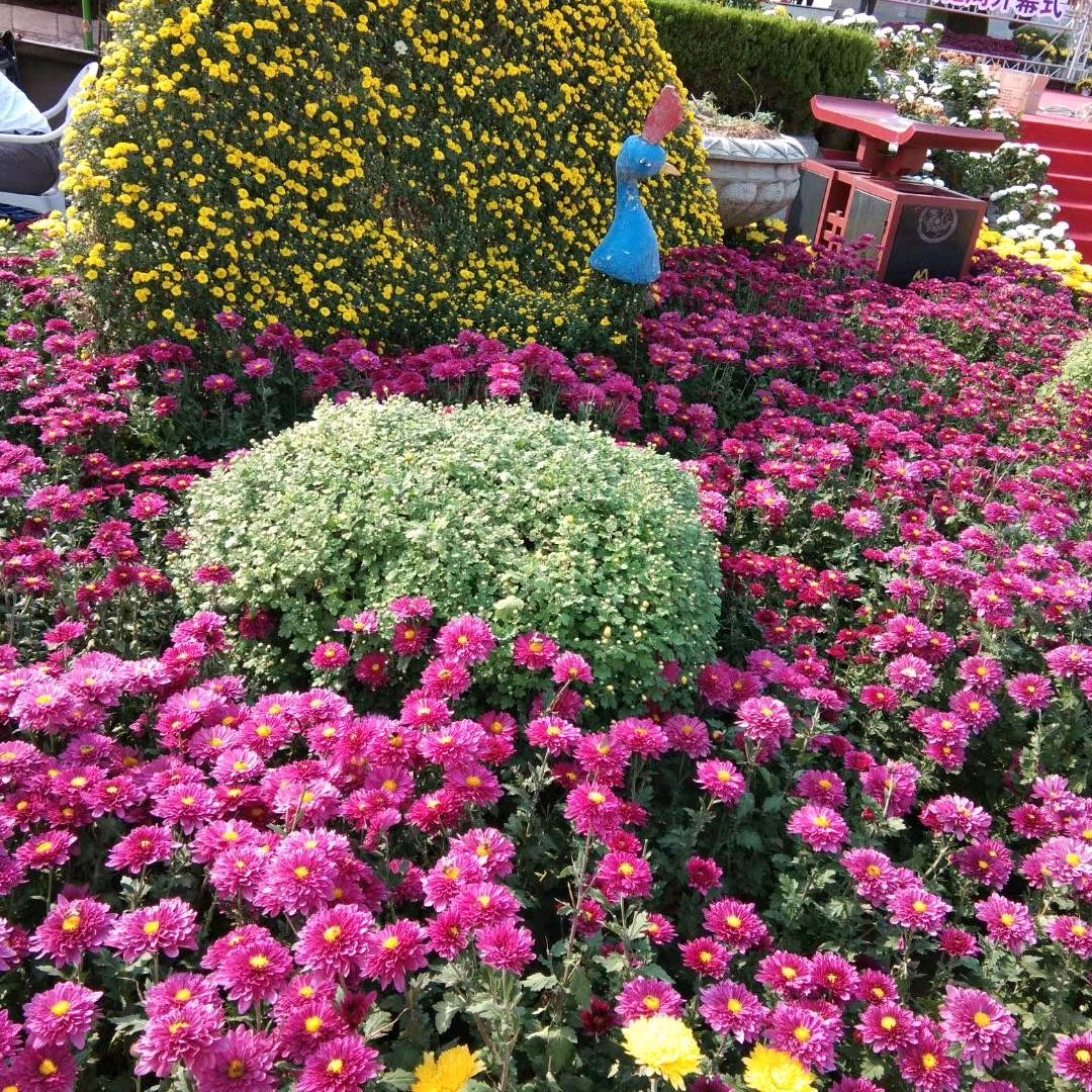 OIMG翰阳书店超市