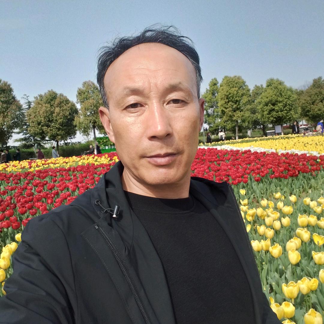 金蝉皂角