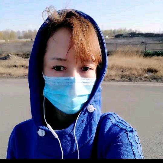 蛾子