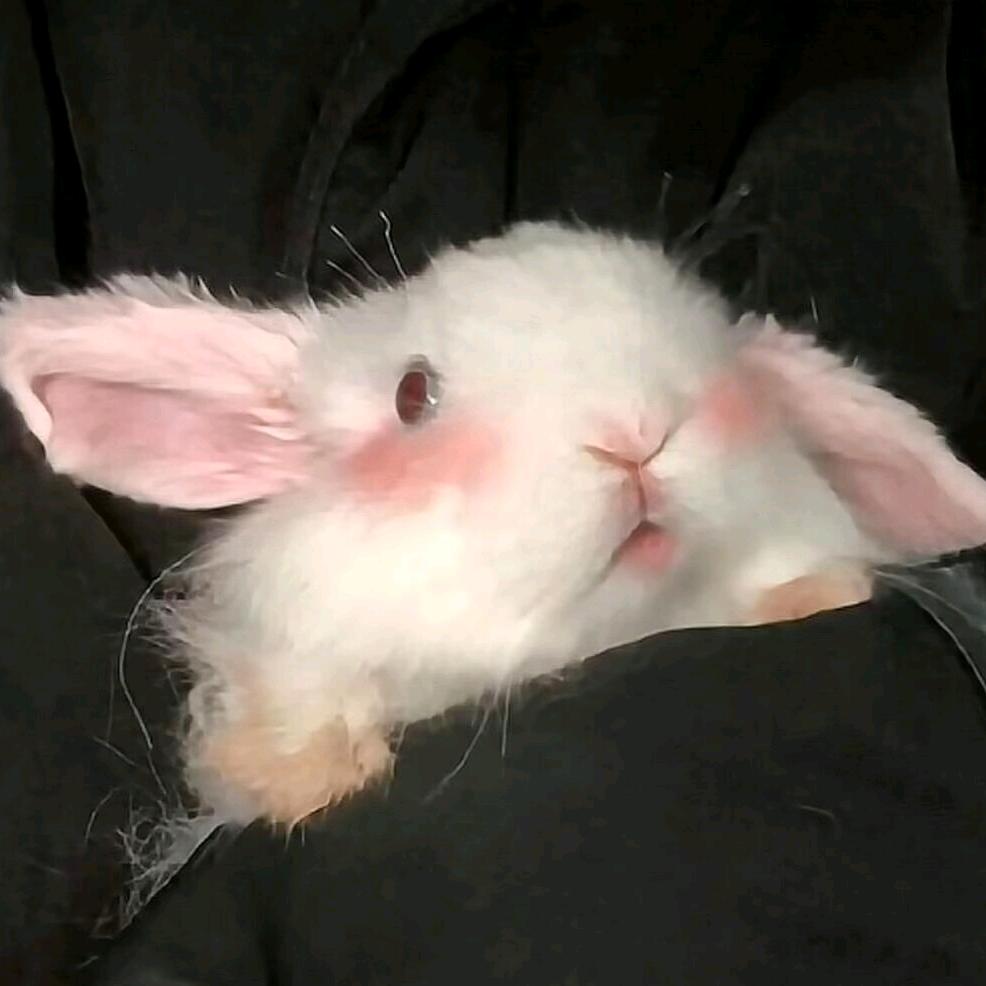 南昌esmi酒吧营销