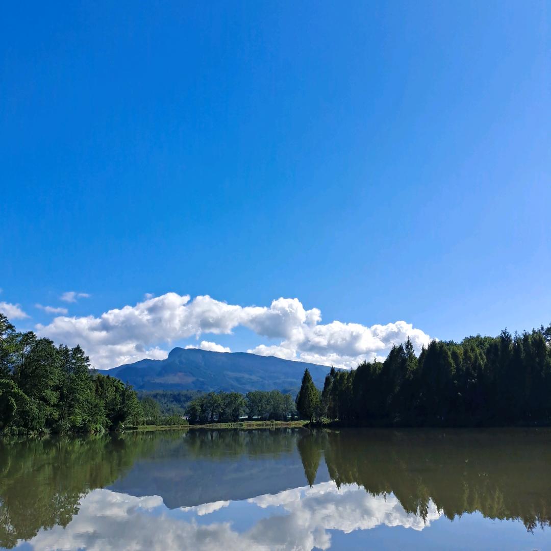 洪雅帅昂皮鞋，柳江，花溪店！