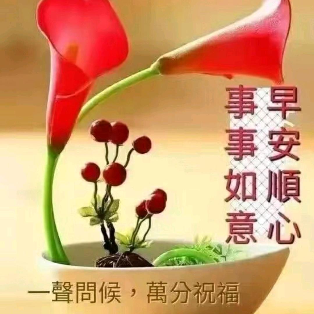 新平气和