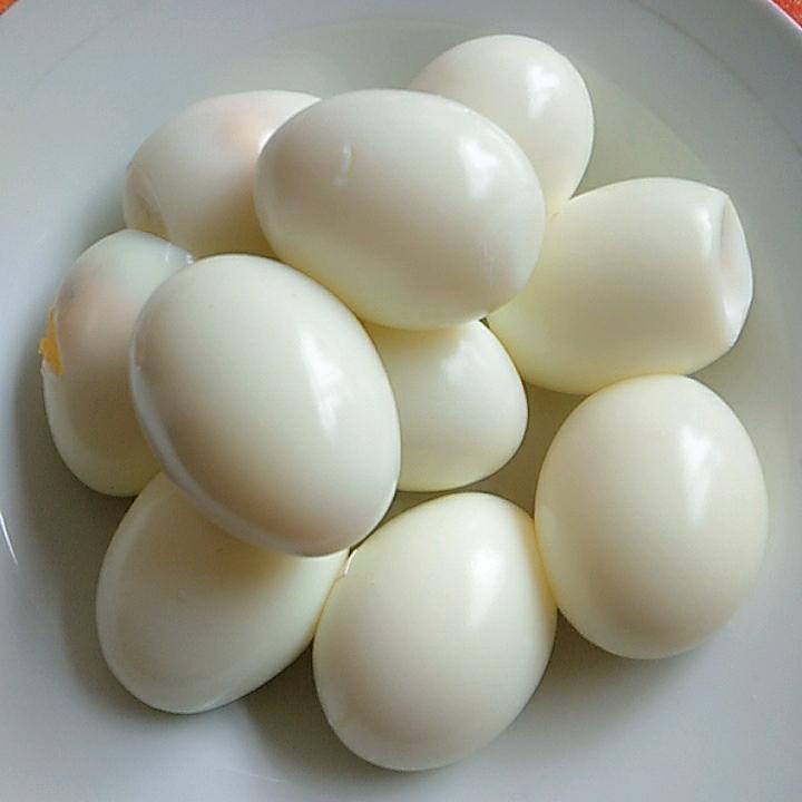 小敖💞一