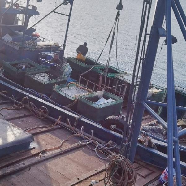 鸿成食品优质海鲜