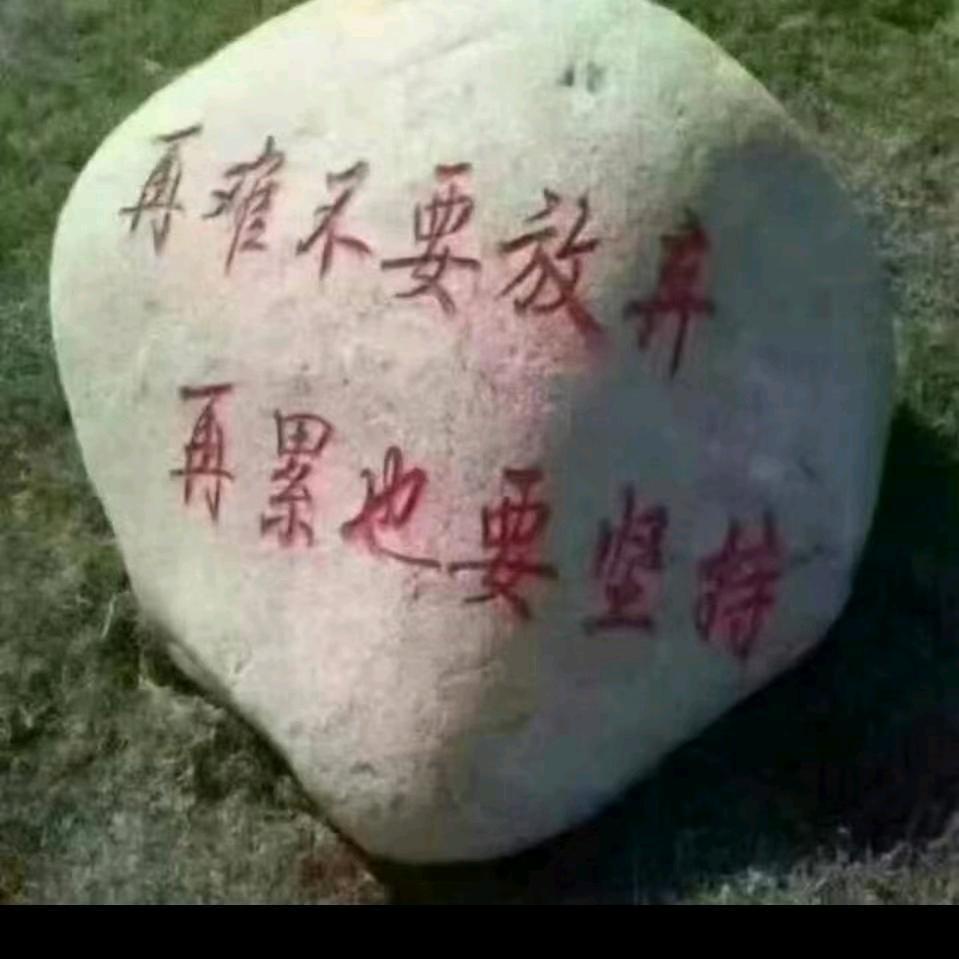 暖心(｡･ω･｡)