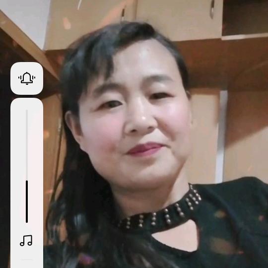 摆摆