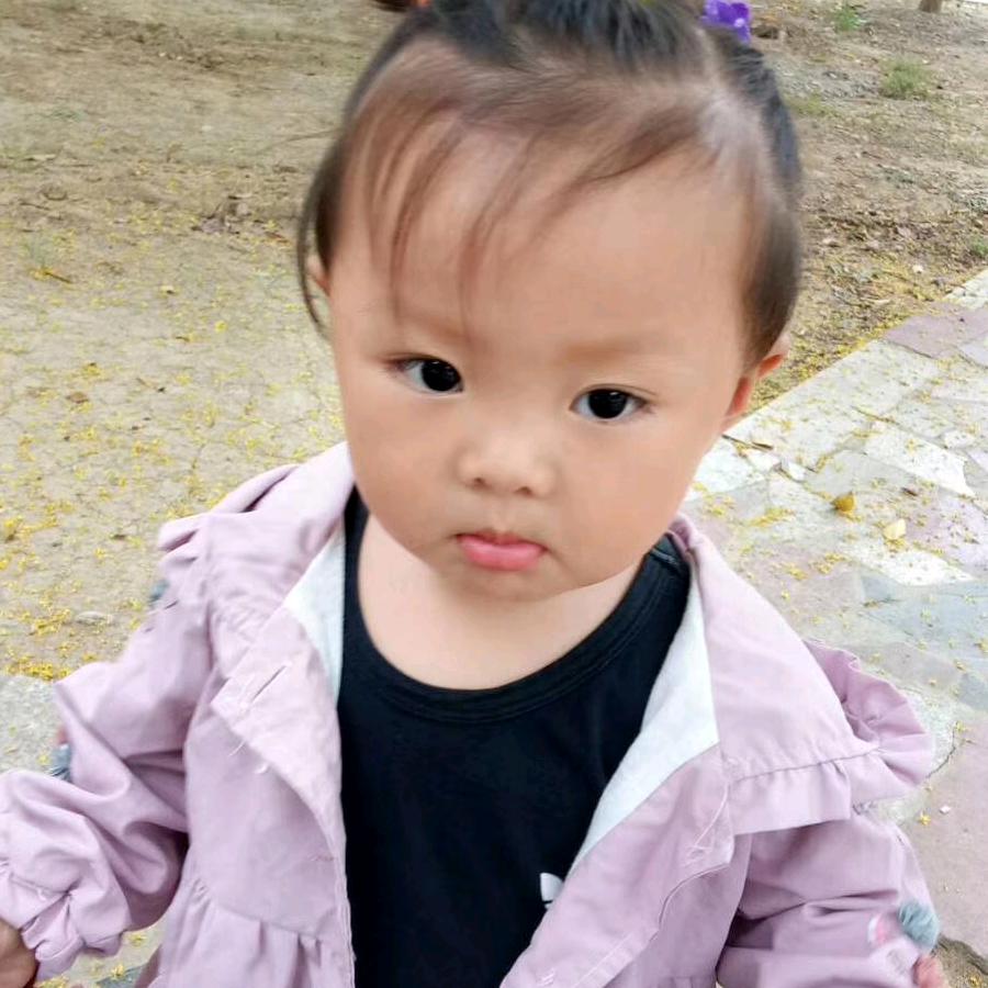 皖L灵璧