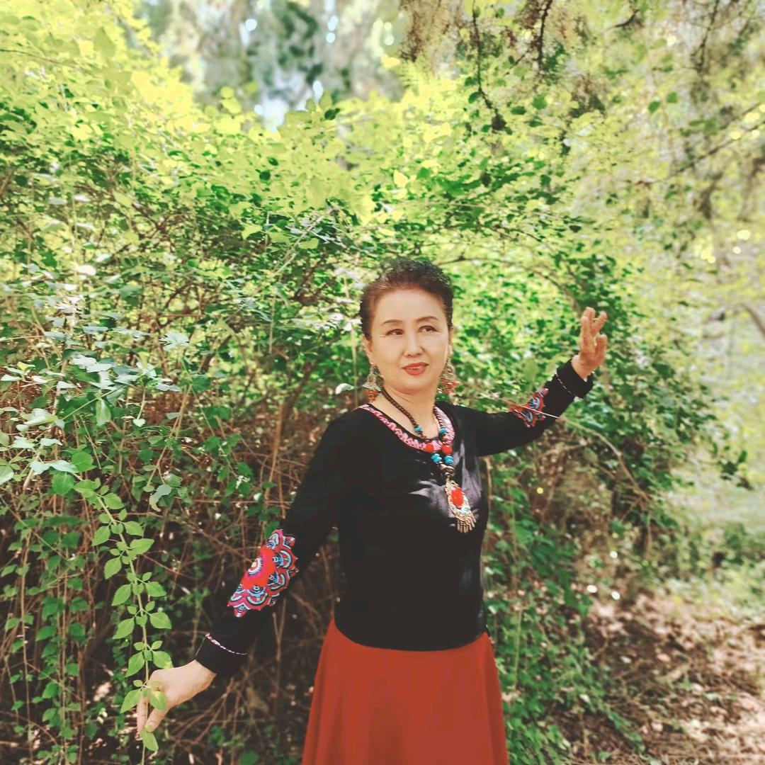 森林芝兰