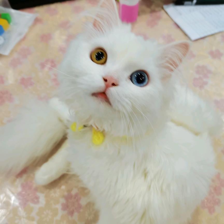 小人物