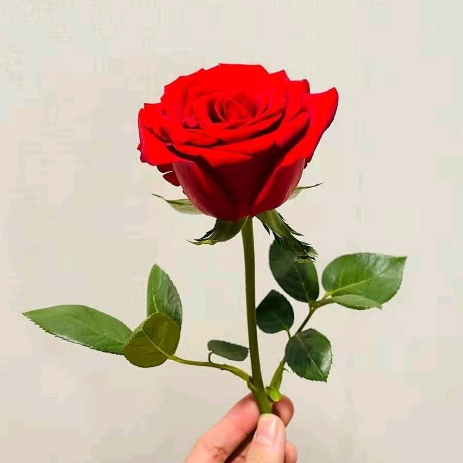 余生都是你♥