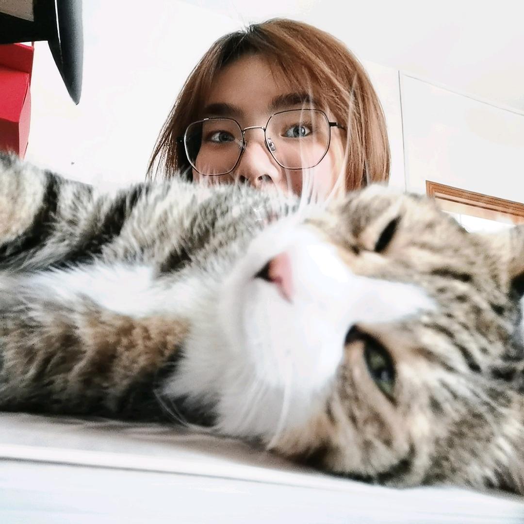 谢不肉