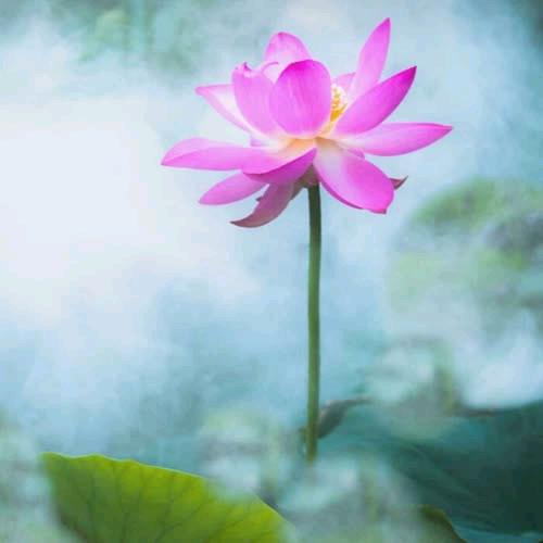 喜洋洋好物推荐