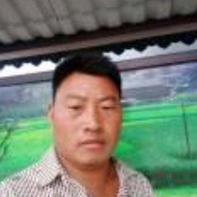 我的梦里总有你