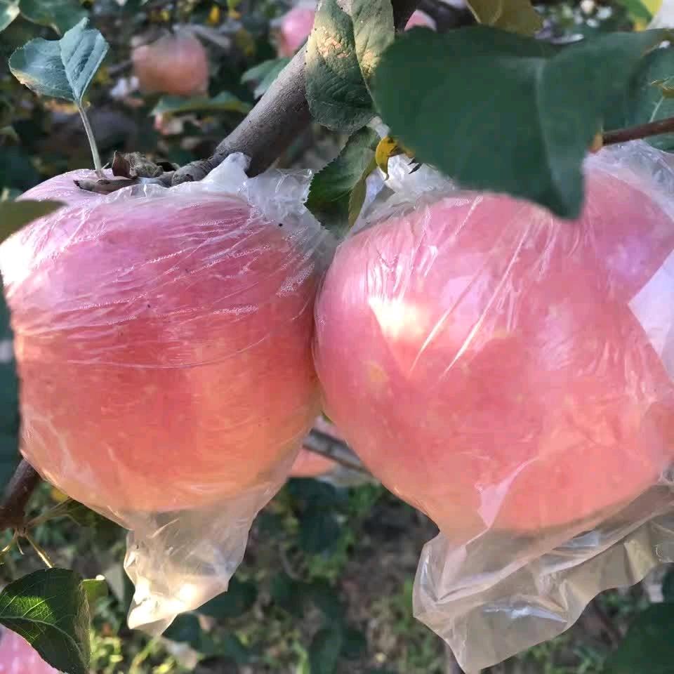 哈哈，，，   ，