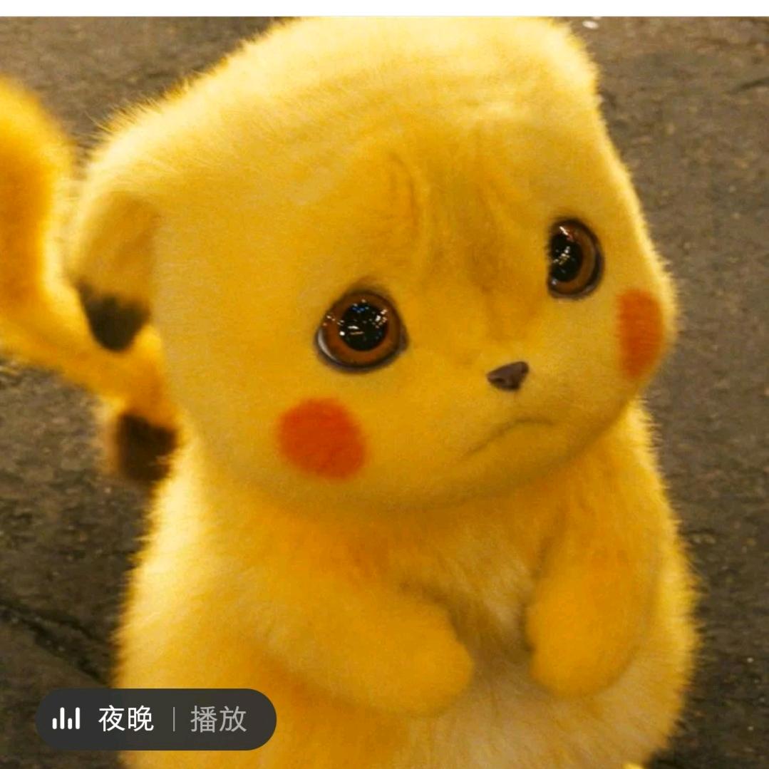 猪🐷猪