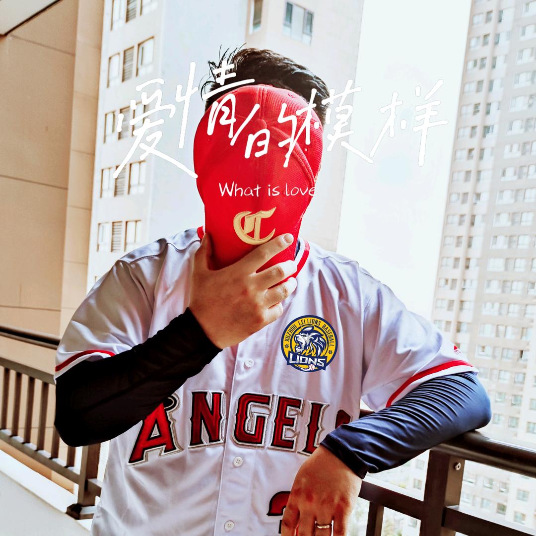 徐州雷狮棒垒球｜匹鲸匹克球-Anson