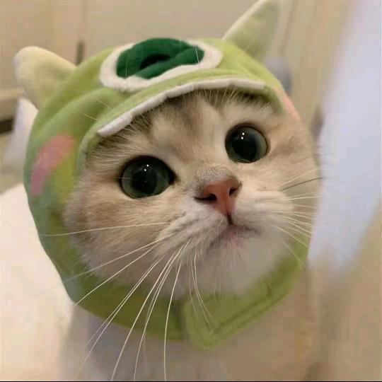 泌阳金色花园虾之味大虾青青