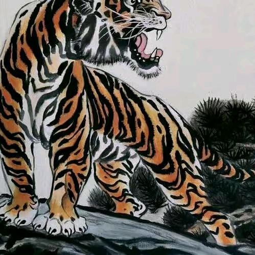 猎豹