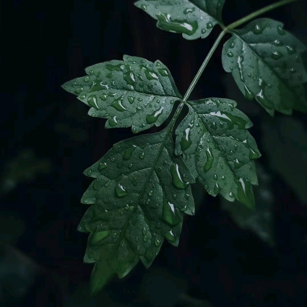 随心落笔