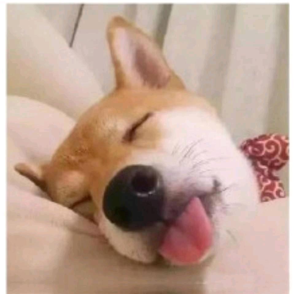 🌞摸鱼🐳₅₂ₒ᭄🌟