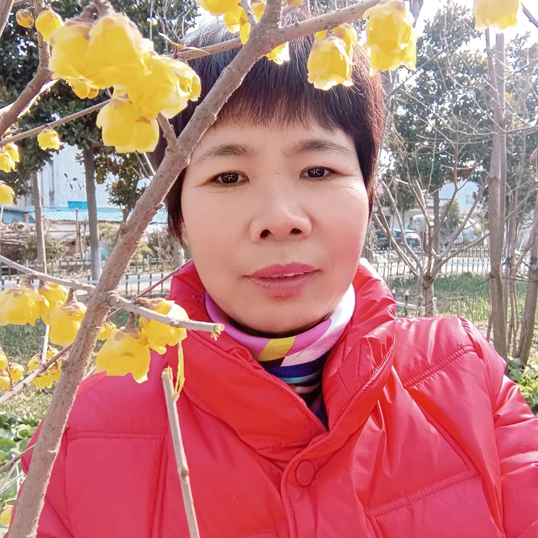 不懂梅