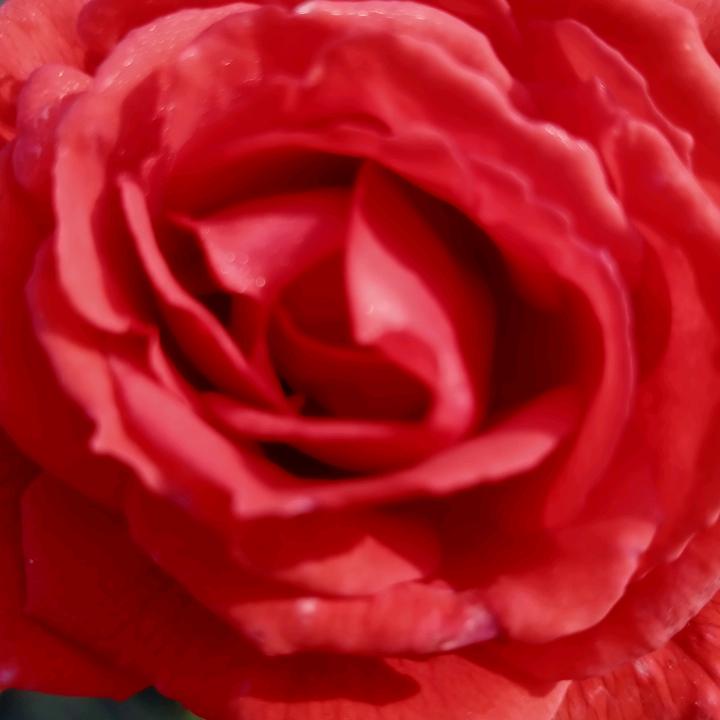 肖❤️❤️永恒13337250297