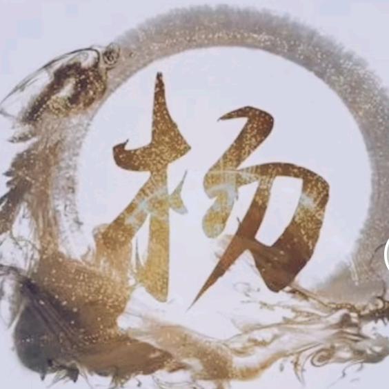 楊家将的杨