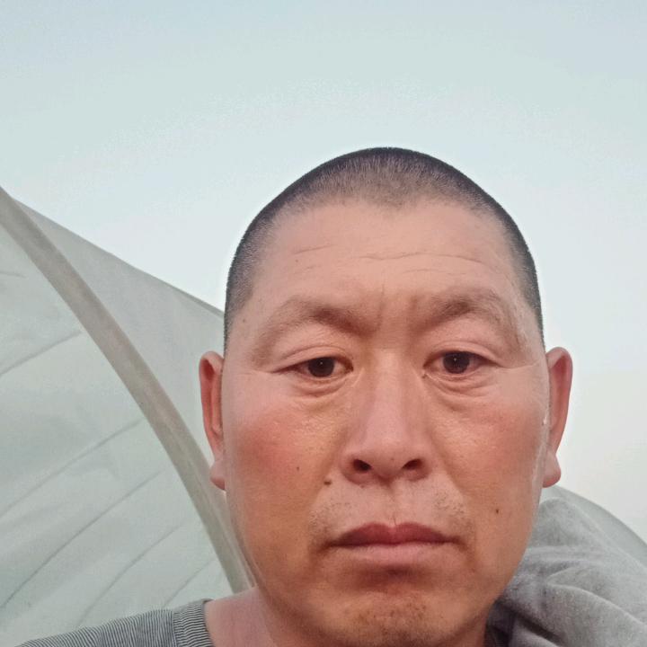 大棚西瓜批发