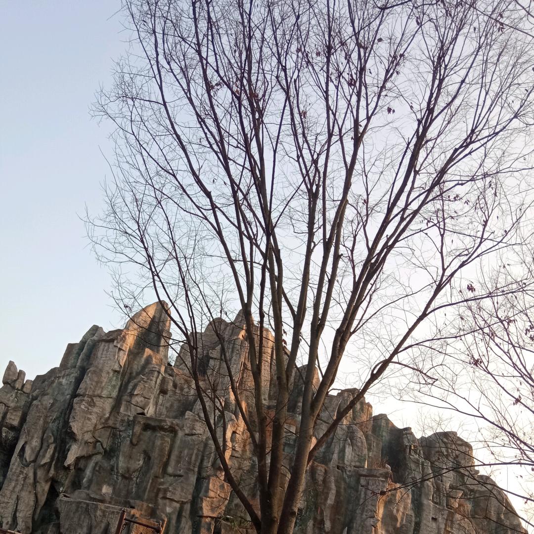 没有钱要脸何用